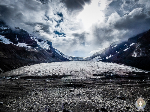 Gletscher Kanadas23