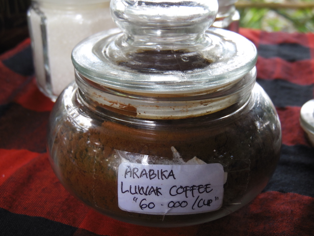 Bali Kaffeplantage45